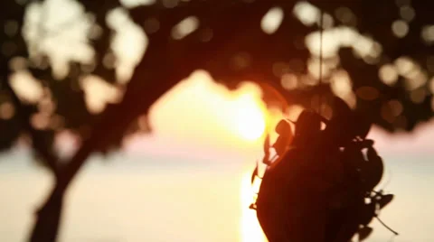 Sunset near ocean Stock Footage 38320332