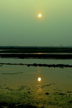 Sunset near river Stock Photos