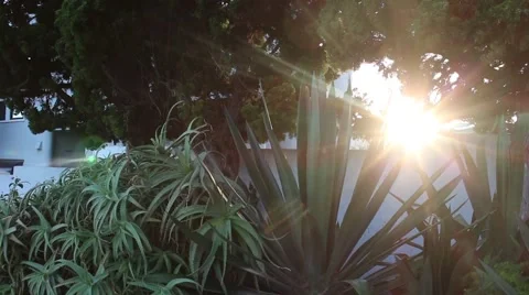 Sunset in Neighborhood Stock Footage 49438180