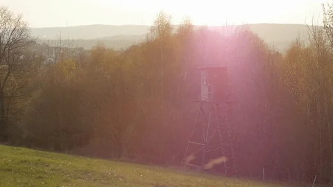 Sunset next to forest with deer stand Stock Footage 89696235