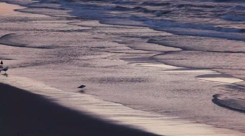 Sunset at the North Sea beach Stock Footage 53846552