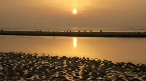 Sunset at the North Sea coast in the Netherlands Stock Footage
