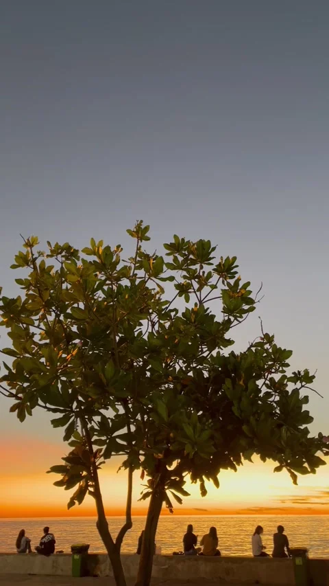 Sunset north sulawesi Stockbeeldmateriaal 202002251