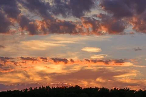 Sunset in the north woods Stockfoto's