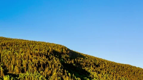 Sunset in Norway mountain forest. Video stock 78150051