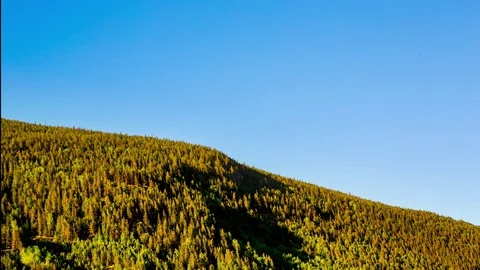 Sunset in Norway mountain forest. Video stock 78723431