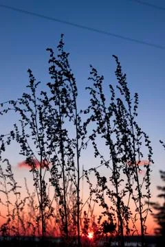 Sunset in November 库存照片