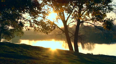 Sunset on the oak grove on a lake Vídeos de archivo 64859610