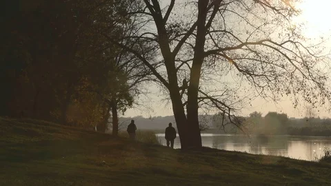 Sunset on the oak grove on a lake Stock Footage 71656239