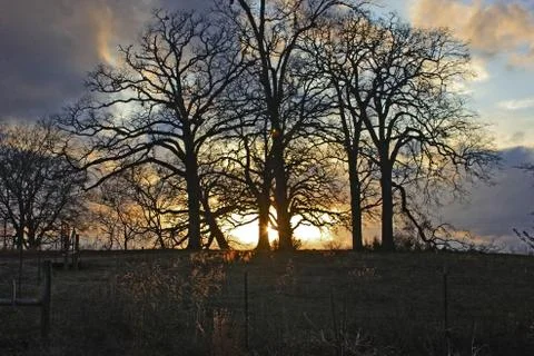 Sunset On Oak Hill - Cool Stock-Fotos