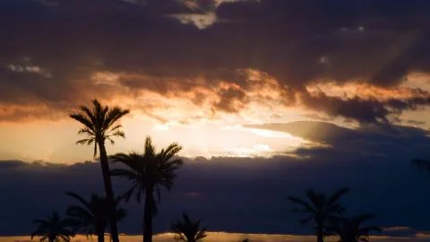 Sunset in an oasis Stock Photos