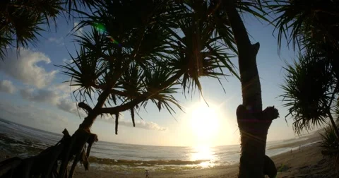 Sunset Ocean 4k Stock Footage 44382178