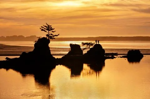 Sunset of Ocean Beach with rock formations and golden tones of light Stock Photos