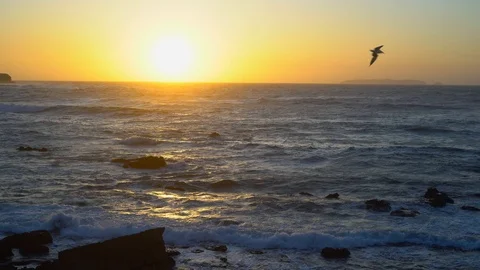 Sunset on the ocean during a storm. Video stock 116203106