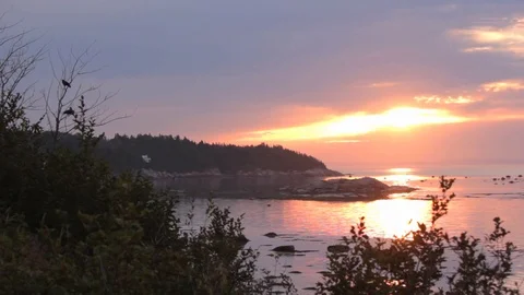 Sunset by the ocean 動画素材 114327756