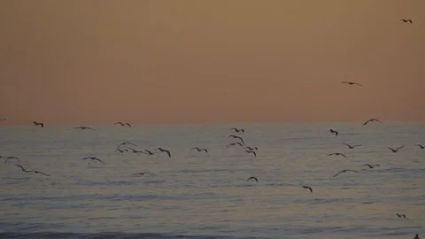 Sunset at the ocean. Video stock 128727807