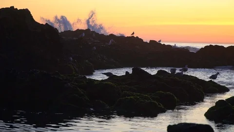Sunset at the ocean. 動画素材 128728049