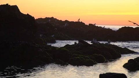 Sunset at the ocean. 库存影片 128728108