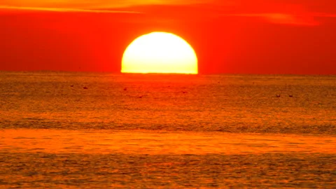 Sunset ocean horizon, vibrant sun setting over calm sea with flying birds Видео 320336841