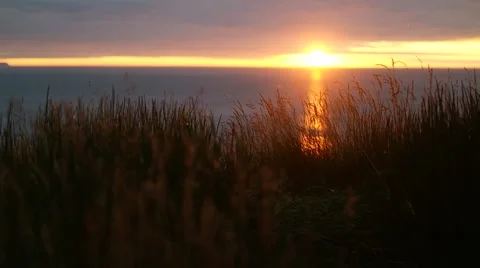 Sunset in the ocean illuminates the grass Vídeos de archivo 58177014