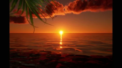 Sunset on the ocean with palm leaf and clouds Stockbeeldmateriaal 201105027