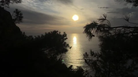 Sunset ocean silhouette.sunset in the foreground trees on the high seashore Stock Footage 339579227