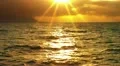 sunset ocean sun rays HD 동영상