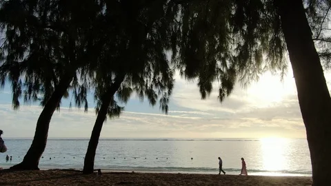 Sunset ocean view camera moving through trees towards the sun Stock Footage 120426672