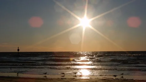 Sunset Ocean Water With Seagulls Background Left To Right Pan Near Pier Luxu Stock Footage 127249549