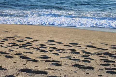 Sunset ocean waves Stock Photos