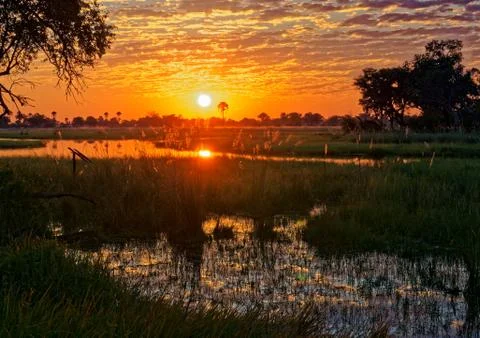 Sunset in the Okavango Delta Stock Photos