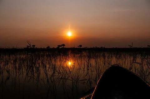 Sunset in the Okavango Delta Stock Photos