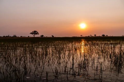 Sunset in the Okavango Delta Stock Photos