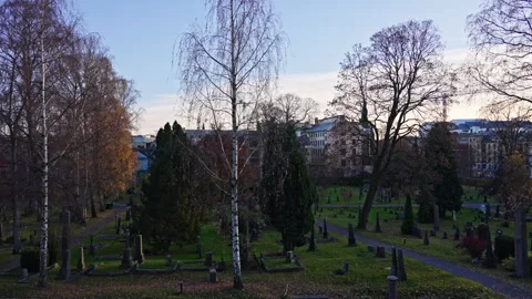 Sunset at an old cemetery during fall. Version 2 Stock Footage 289788778
