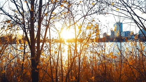 Sunset on old danube in vienna Stock Footage 120067106