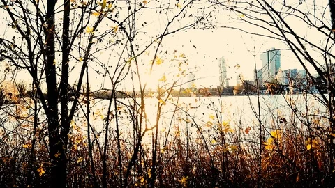 Sunset on old danube in vienna Stock-Footage 120068320