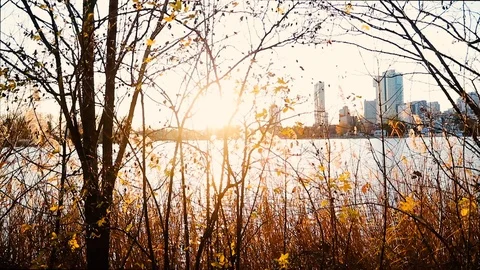 Sunset on old danube in vienna Stock Footage 120068742