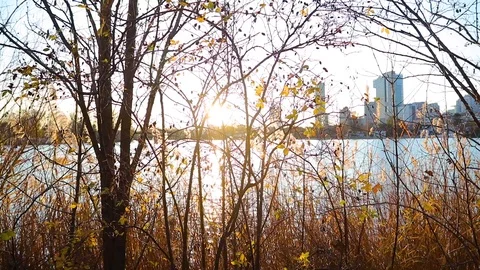 Sunset on old danube in vienna Stock Footage 120073311