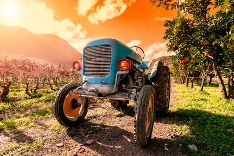 Sunset on an old light blue tractor for agricultural crops Stock Photos