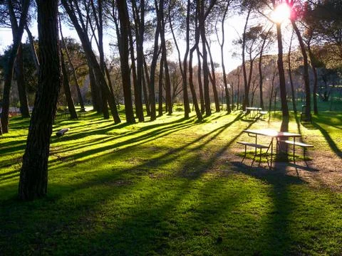 Sunset in old park Stock Photos