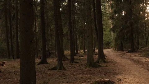 Sunset at Olympic National Park Stock-Footage 129268065