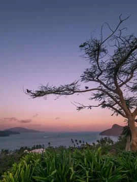 Sunset at One Tree Hill on Hamilton Island in the Whitsundays Stock Photos