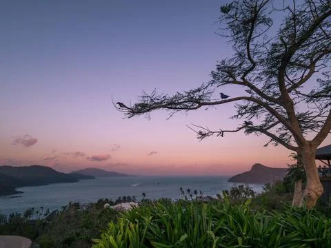 Sunset at One Tree Hill on Hamilton Island in the Whitsundays Stock Photos