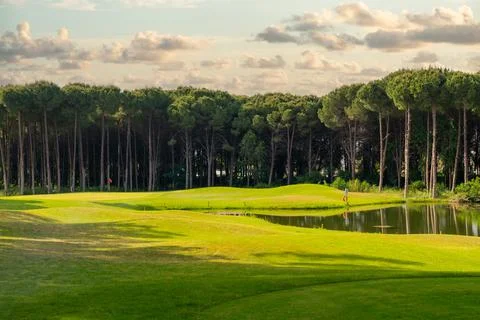 Sunset or dawn over a golf course overlooking a body of water and even green Stock Photos