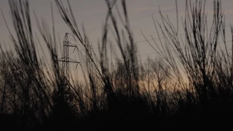 Sunset or sunrise in the forest with a high voltage power line Stock Footage 103107672