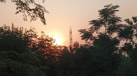 Sunset or sunrise glowing through silhouette trees and foliage Stock-Fotos