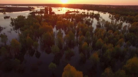 Sunset or sunrise over river swamp or lake aerial 4k Stock Footage 75040329