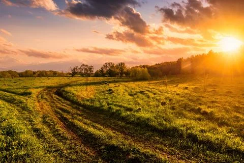Sunset or sunrise in a spring field with green grass, willow trees and clou.. Stock Photos