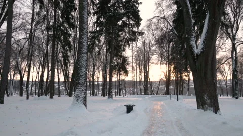 Sunset or sunrise in a winter park with trees and benches covered with snow. Stock Footage 169229509