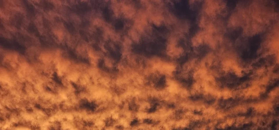 Sunset Orange 스톡 사진